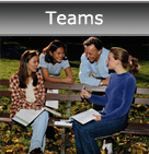 Team Options