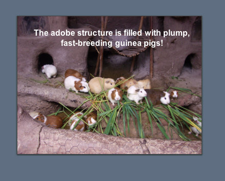 yana slide 7.png