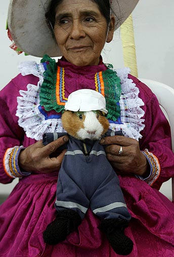 womanpigdress.jpg