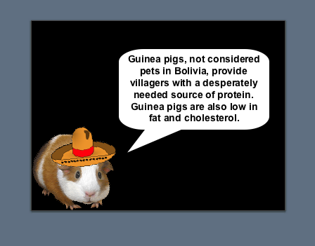 slide slide 8.png