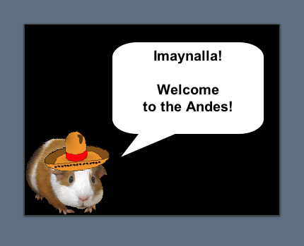 yana slide 1.png
