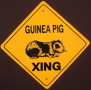 gpxing.jpg