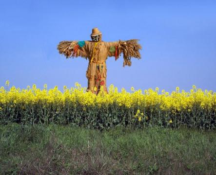 scarecrow2.usermyth.jpg
