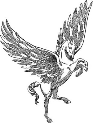 pegasus11.jpg