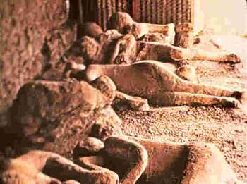 pompeii bodies.jpg