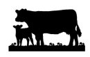 wall_Calf_Cow_sm.jpg