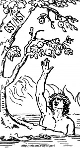 tantalus1.jpg