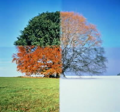 seasons20of20life20large.jpg